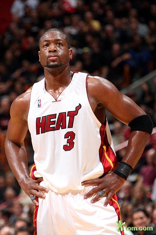 腐冠古树 腐冠古树